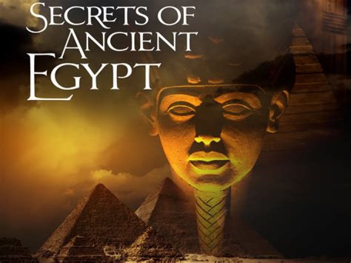 Uncover The Secrets Of Legal Expertise